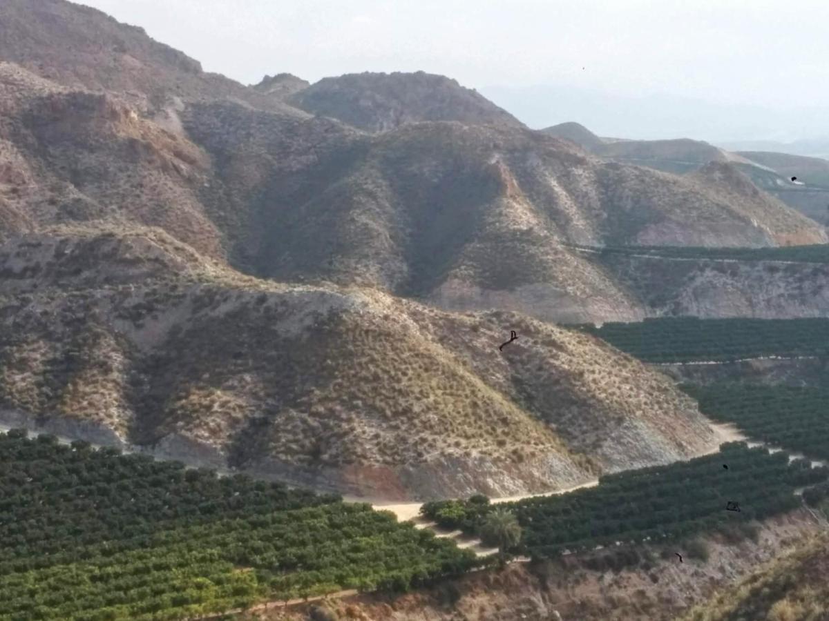 Al Andalus Resort L'Île-Rousse Dış mekan fotoğraf
